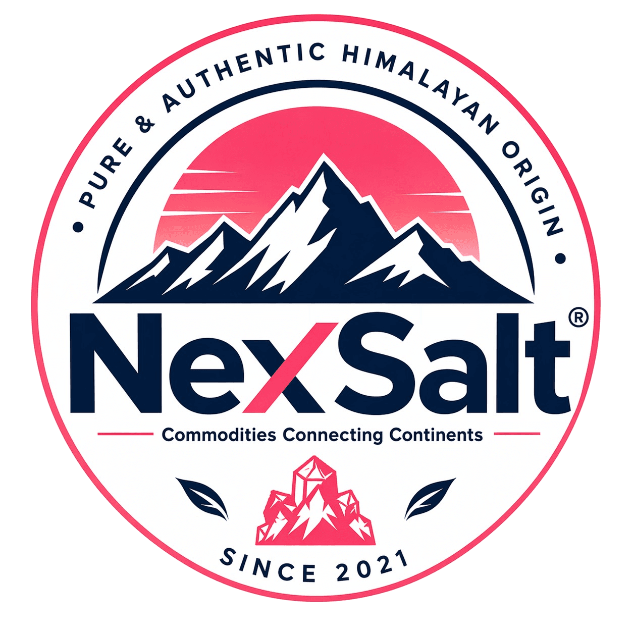NextSalt logo
